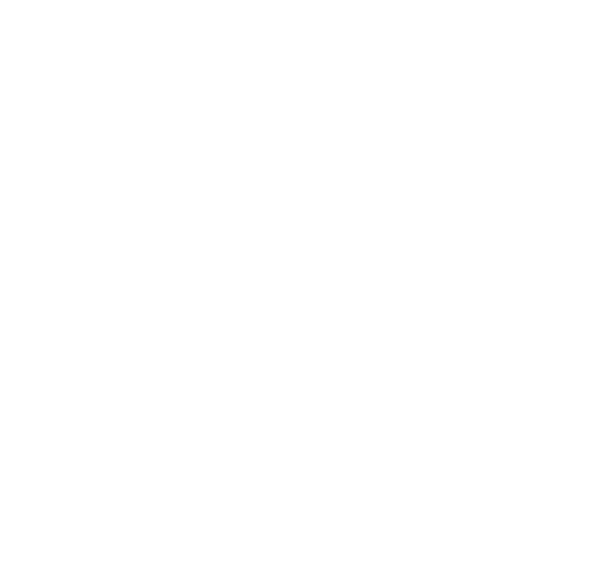 logo-solutions-chevalier